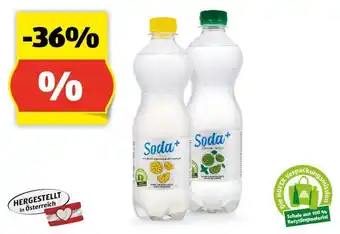 Hofer Soda Zitrone/Limette Minze, 500 ml Angebot