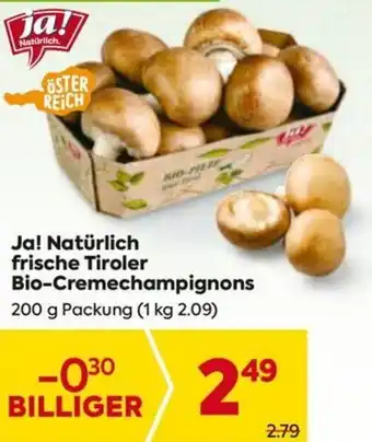 Billa Ja! Natürlich frische Tiroler Bio-Cremechampignons Angebot