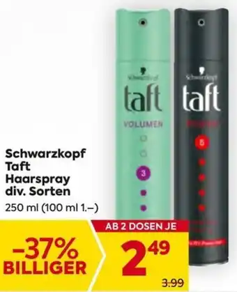 Billa Schwarzkopf Taft Haarspray Angebot