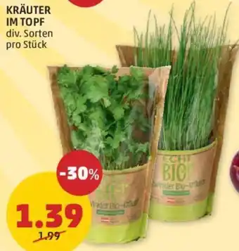 PENNY KRÄUTER IM TOPF Angebot