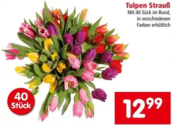 Interspar Tulpen Strauß Angebot