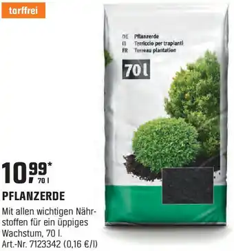 OBI PFLANZERDE Angebot