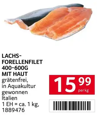 Transgourmet LACHS- FORELLENFILET 400-600G MIT HAUT 1kg Angebot
