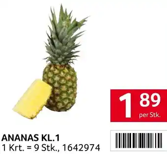 Transgourmet ANANAS KL.1 Angebot