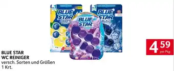 Transgourmet BLUE STAR WC REINIGER Angebot