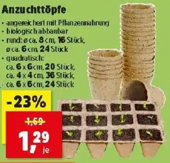 Thomas Philipps Anzuchttōpfe Angebot