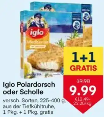 MPreis Iglo Polardorsch Scholle 225-400g Angebot