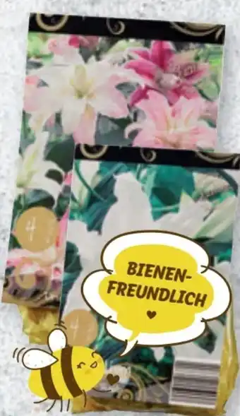 Lidl Lilien Zwiebeln Angebot