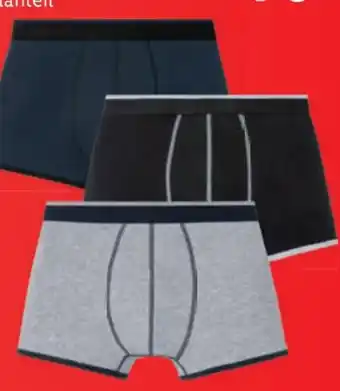 Lidl Herren Boxer Angebot