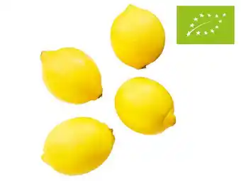 Lidl Lidl Bio Zitronen Lidl 500 Gramm Angebot