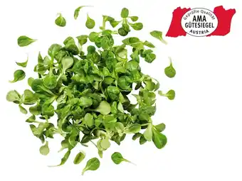 Lidl Vogerlsalat aus Österreich Lidl 125 Gramm Angebot
