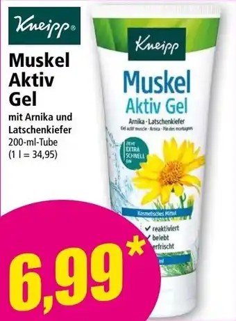 Norma Muskel Aktiv Gel Angebot