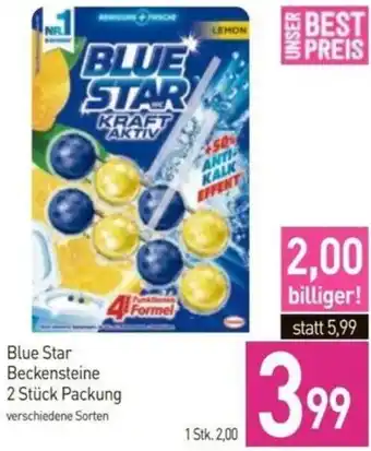 Sutterlüty Blue Star Beckensteine 2 Stück Packung Angebot