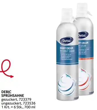 Transgourmet DEBIC SPRÜHSAHNE Angebot