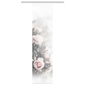 XXXLutz Flächenvorhang in Rosa halbtransparent Angebot