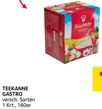 Transgourmet TEEKANNE GASTRO Angebot