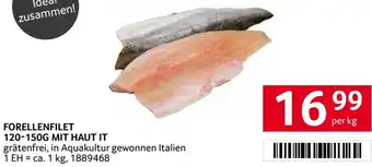 Transgourmet FORELLENFILET 120-150G MIT HAUT IT Angebot