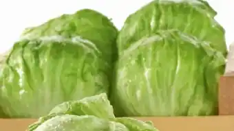 Spar Eisbergsalat Angebot