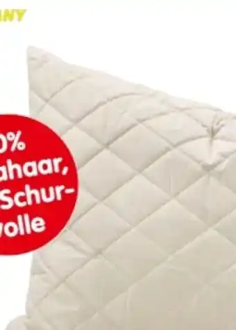 Interspar Polster Lama Angebot