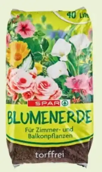 Interspar Blumenerde Angebot