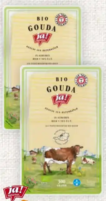 Billa Bio Gouda Angebot