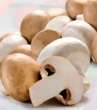 Hofer Champignons Angebot