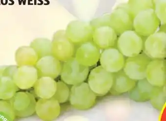 Hofer Trauben Angebot