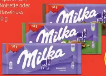 Hofer Schokolade Angebot