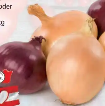 Hofer Zwiebeln Angebot