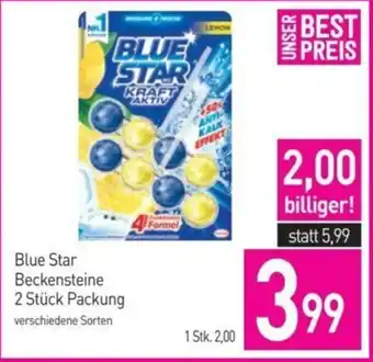 Sutterlüty Blue Star Beckensteine Angebot