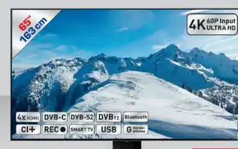 Metro Q-LED TV 65Q80C Angebot