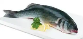 Metro Wolfsbarsch Angebot