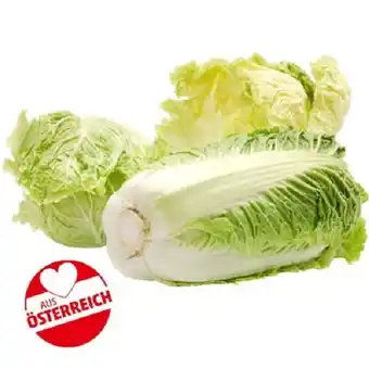 PENNY Ich bin Österreich Chinakohl Penny 1 Kilogramm Angebot