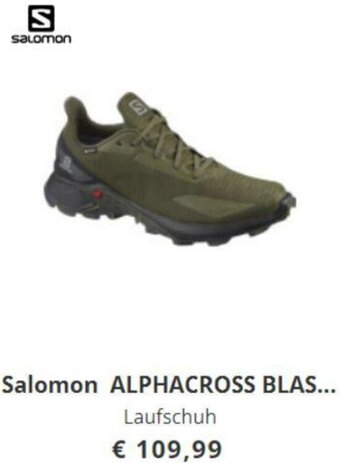 Hervis Salomon Alphacross Blast Laufschuh Angebot