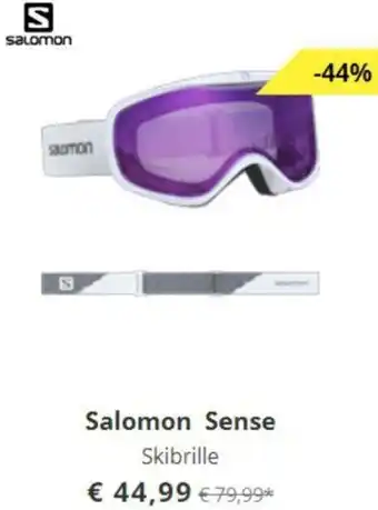 Hervis Salomon Sense Skibrille Angebot