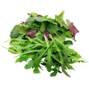 PENNY Pflücksalat od. Rucola Penny 125 Gramm 1 Packung Angebot