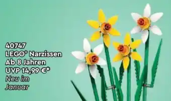 Lego LEGO Narzissen Ab 8 Jahren Angebot