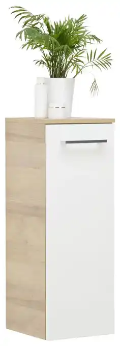 XXXLutz Midischrank Angebot