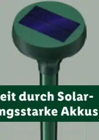 Lidl Solar Maulwurfschreck Angebot