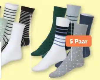 Lidl Damen Socken Angebot