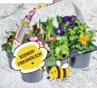 Lidl Frühlingsmix Angebot