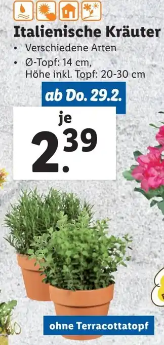 Lidl Italienische Kräuter Angebot