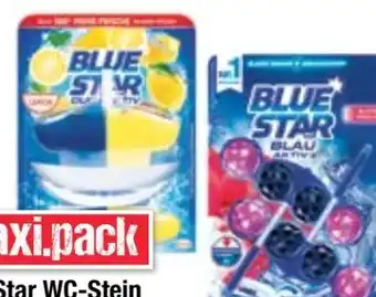 Maximarkt WC-Steine Angebot