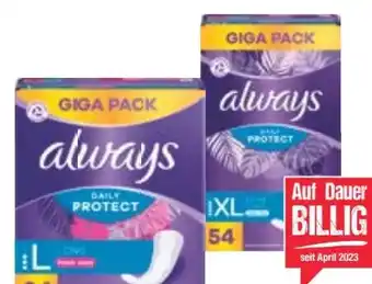 Maximarkt Slipeinlagen Angebot