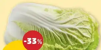 PENNY Chinakohl Angebot