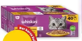 PENNY Katzenfutter Frischebeutel Angebot