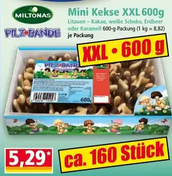 Norma Mini Kekse XXL 600g Angebot