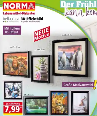 Norma bella casa 3D-Effektbild Angebot