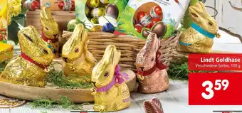 Interspar Lindt Goldhase Angebot
