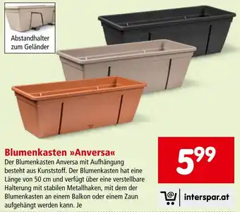 Interspar Blumenkasten Anversa Angebot